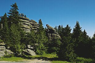 Bayerwaldberg Dreisessel im Bayerischen Wald